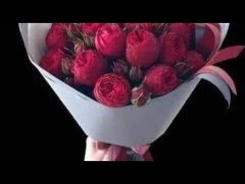 አማን ነው ወይ