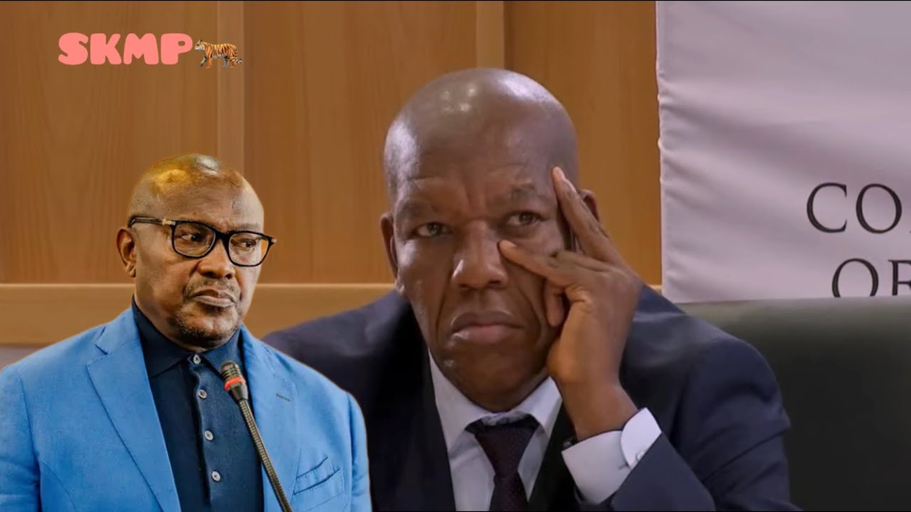 [WATCH] Lt Gen Mbotho says he had no idea the house he sent police to ...