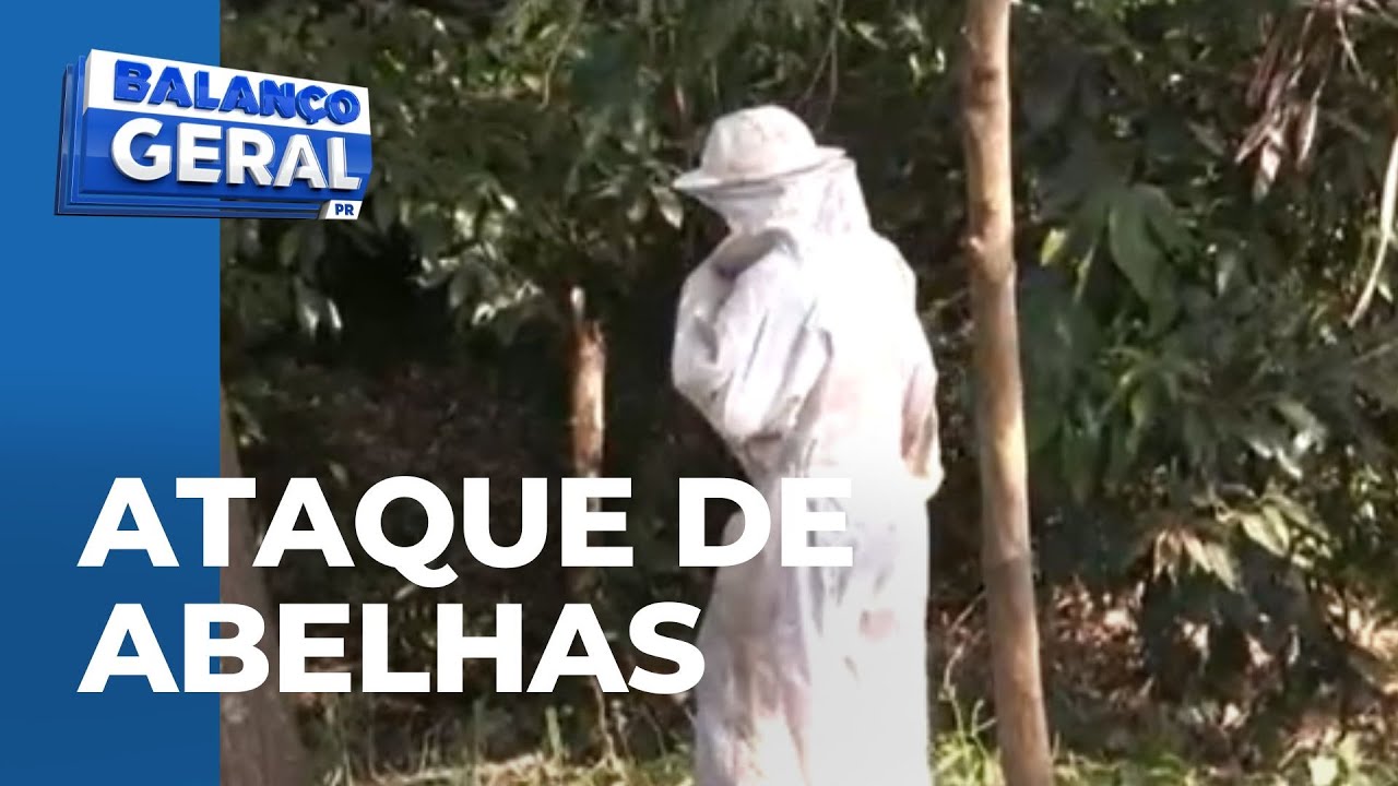 Ataque de abelhas mata cavalo no interior de SP