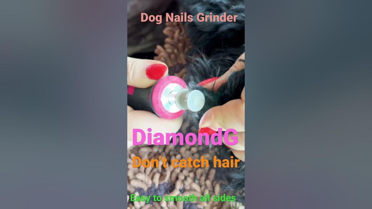 how-to-grind-dog-nails-with-diamondg-nail-rotary-grinder-youtube
