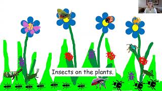 Insects Here, Insects There GLAD Chant