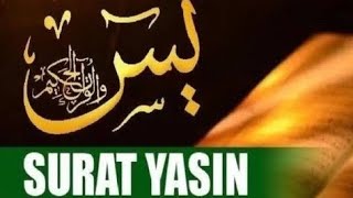 Q.S YAASIIN ARAB, LATIN & TERJEMAHAN -SYAIKH ABDURRAHMAN AL AUSY