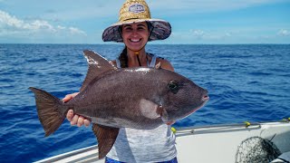 GIANT Triggerfish CATCH, Clean & COOK!! Florida Keys Fishing! screenshot 4