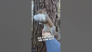 This squirrel video is too wholesome ❤️