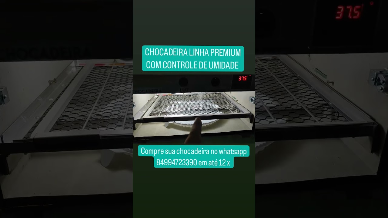 chocadeira 50 ovos Premium com controle de umidade #jschocadeira