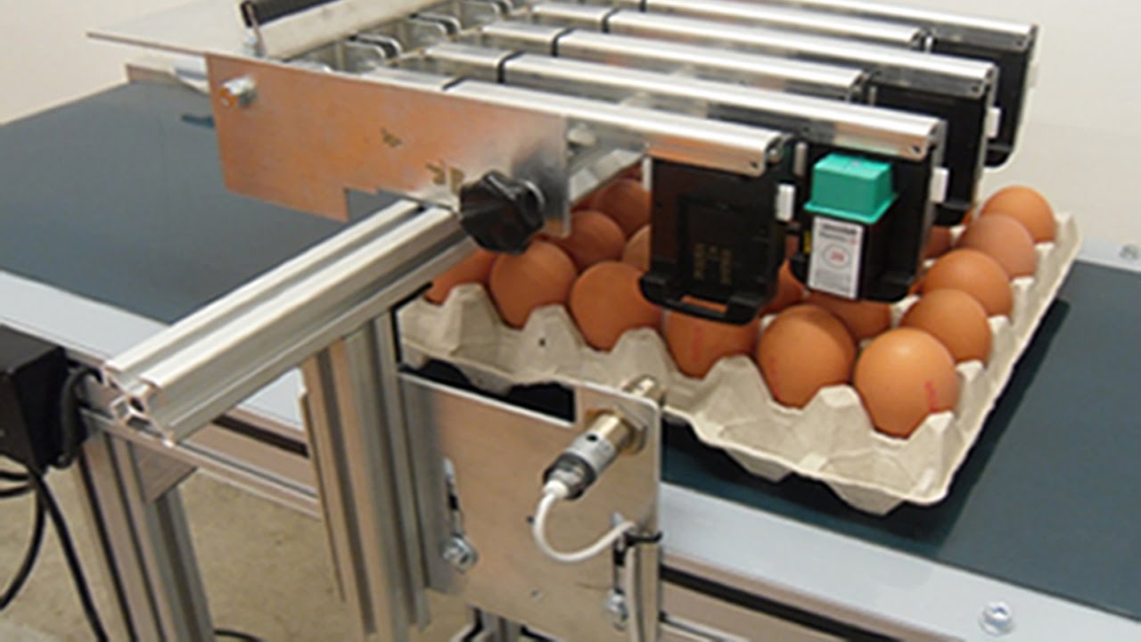expiry date ink jet printer for egg automatic codes printing