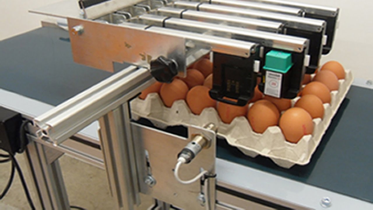 Source Automatic Expiry Date Printer For Egg / Chicken Egg Date