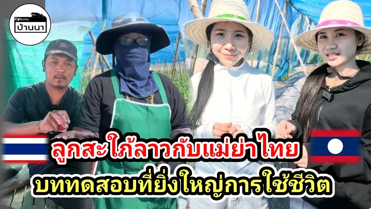 #น้องติน่า #สาวลาว หนุ่มไทยเอาลูกสะใภ้​มาฝากแม่ต้อนรับปีใหม่​ มาเรียนรู้ทำสวนทดสอบการใช้ชีวิตในไทย