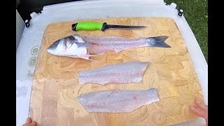 Sea bass Catch prepare cook #seabass #fish