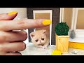 The SMALLEST rescued KITTEN in the World found HOME! Building a HOUSE for cats