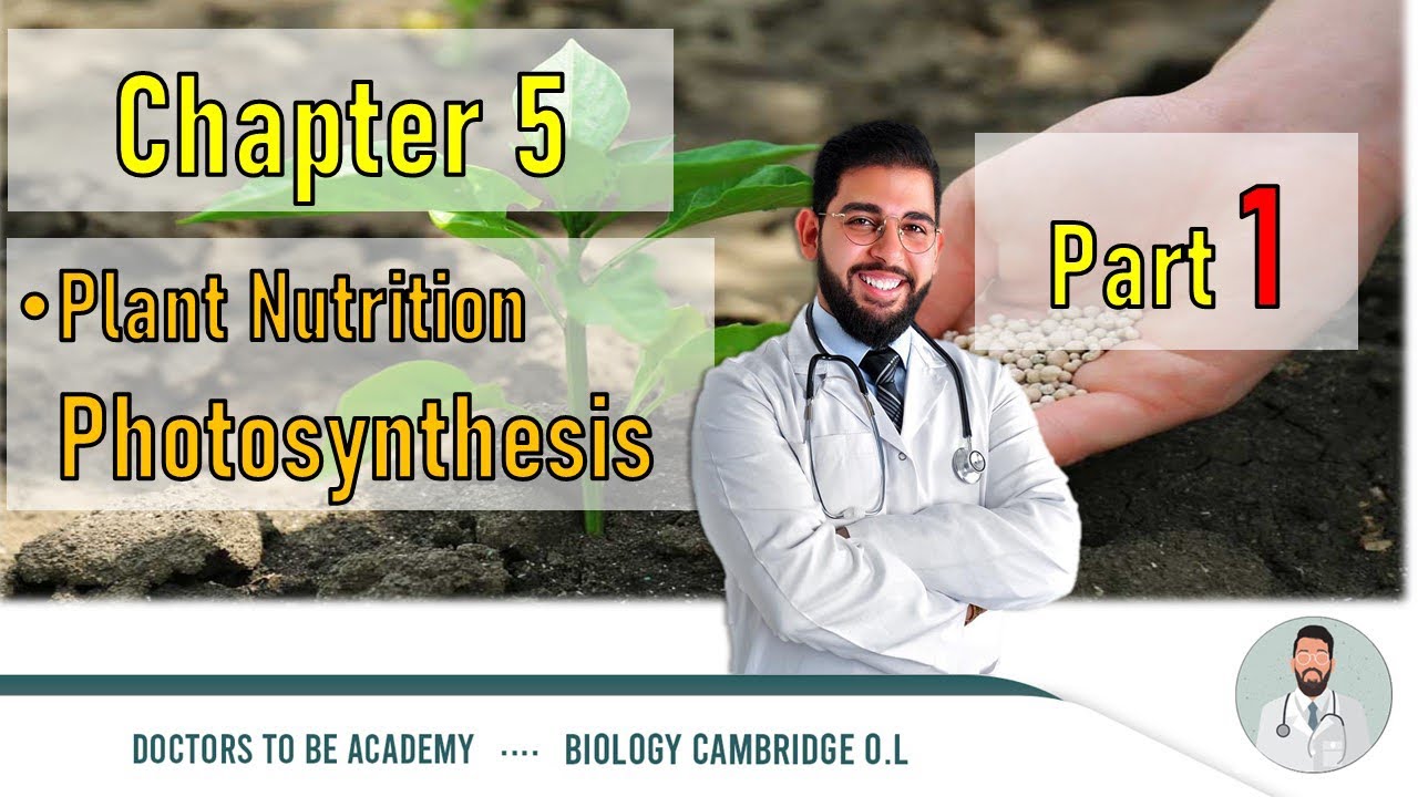 Plant Nutrition - Photosynthesis - Biology IGCSE - YouTube