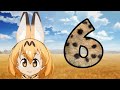 Kemono Friends Episode 6