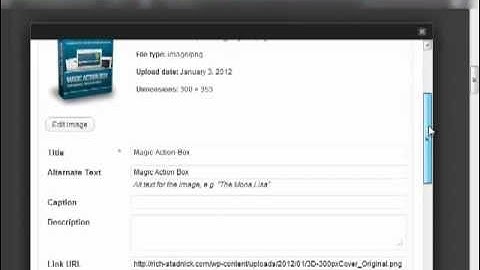 Magic Action Box WP Plugin Review