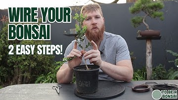 Bonsai Wiring Made Easy: 1-Branch & 2-Branch Techniques 🌱