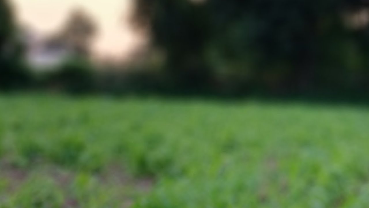 Man road par baik kese Chalaye. 