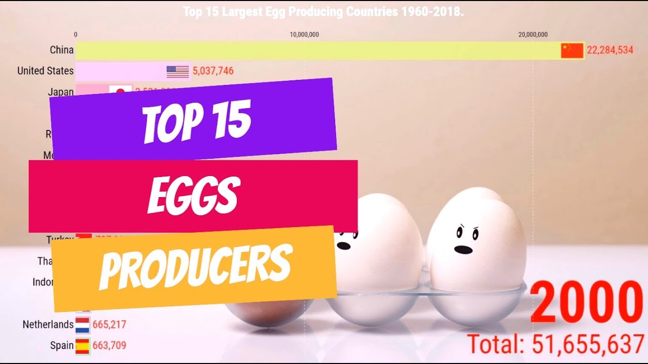 Top Largest Egg Producing Countries in the World YouTube