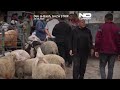Wysiedleni z Gazy szykują się na ponure Eid al-Adha w wojnie i drożyźnie