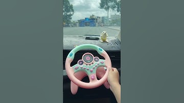 LNS - Vô lăng thứ 2 trên xe oto || Steering wheel Noob vs Pro #shorts