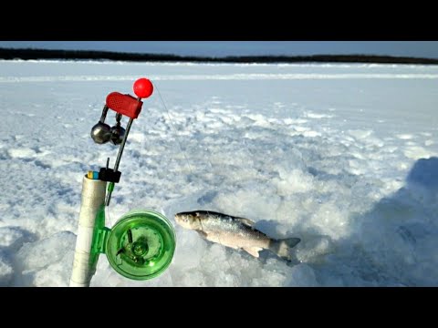 Рыбалка на подпуск