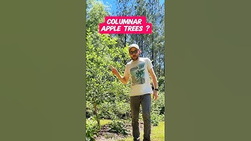 Columnar Apple Trees from ​⁠@GrowingwithStarkBros #shorts #fruittrees #gardening #growyourownfood