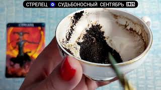 видео: 🧿 СТРЕЛЕЦ СЕНТЯБРЬ 2025 СУДЬБОНОСНЫЕ ПЕРЕМЕНЫ Что ждёт Чем судьба порадует? Гадание на кофейной гуще картинка: 🧿 СТРЕЛЕЦ СЕНТЯБРЬ 2025 СУДЬБОНОСНЫЕ ПЕРЕМЕНЫ Что ждёт Чем судьба порадует? Гадание на кофейной гуще