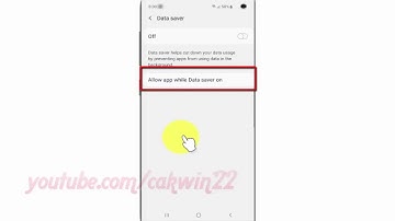 Samsung Galaxy S10 : How to set allow apps while mobile Data saver on