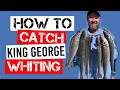 King George Whiting - How we bagged out in under 30 minutes!