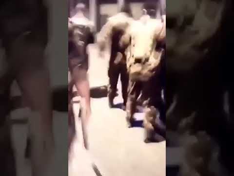 تصرفات المخانيث يتجمعون على مواطن اعزل في البصرة قبل قليل بأي ذنب هل هو إرهابي سارق خاطف