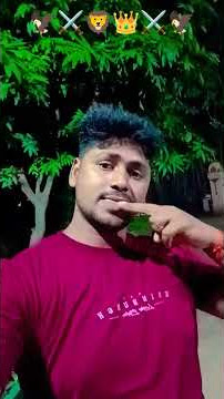 Haryanvi DJ Songs: The Highlights of a Cultural Revolution