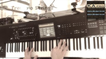 Tremolo Strings - KApro Premium "Epic Composer" Library - KORG Kronos EXs131–EXs134 (KEYjDAVE)