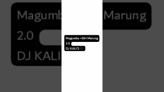  Magumbabiri Marung 20 Remix amapiano amapianodance Disclaimer I Dont Own Copyright 