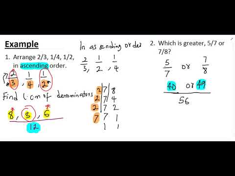 Fraction 5 (Order of Magnitude)