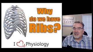 Why do we have ribs?