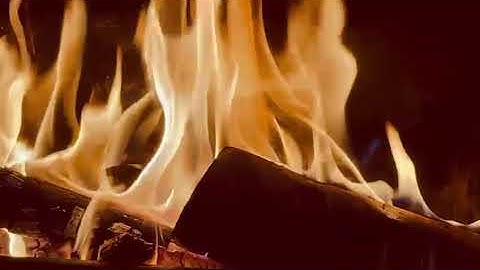 WhatsApp Video 2025 11 07 at 13 40 54 7cec1ae9