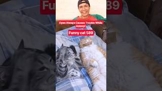 funny cat 🐱 589 #marsytchannel #youtubeshorts #shorts #trending #funny #cat #cats #cute #cutecat