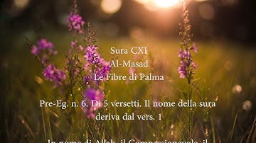 Al-Masad - سورة المسد باللغة الايطالية