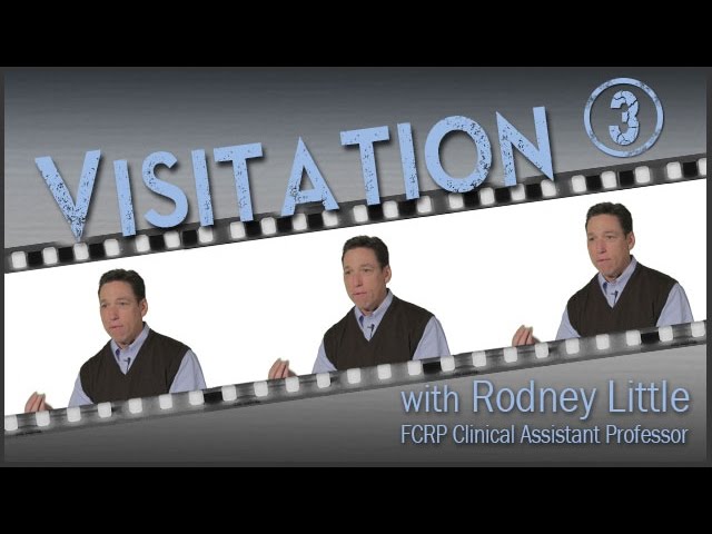 Visitation Part 3: "Improving Parent-Child Visits"