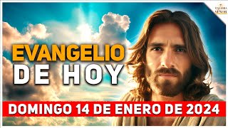 📖 EVANGELIO DE HOY con Reflexión 🚨  Domingo 14 de Enero de 2024 - Palabra Del Señor ✝