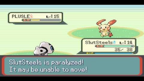 Pokemon Sapphire - Part 12: Route 110