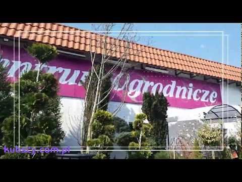 Wideo: Centra Ogrodnicze W Dzielnicach Newski, Kirowski I Krasnosielski