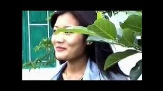 Pahsil sel || Elvis nehlal || OLDIE BUT GOODIE KUKI SONG