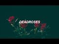 Blackbear - Deadroses (Español)