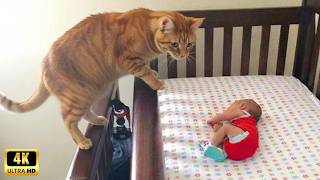 When Your Cats Become the Sweetest Babysitters 😺❤️