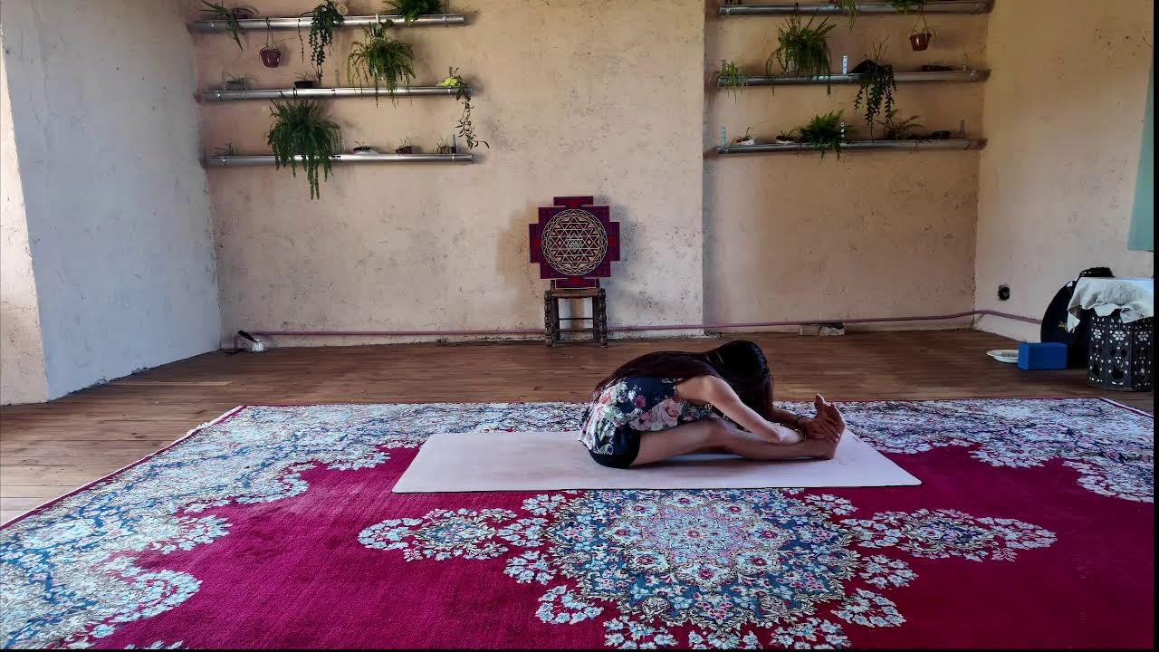 CALM Gentle Yoga Marathon - Beginners to Intermediate Join Anytime