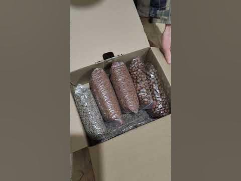 Посылка из Адыгей, чай адыгейский, иссоп, аморфа кустарниковая, витекс ...
