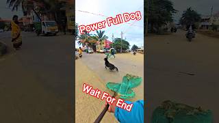 Sakamoto Power Full Dog Catching City #dog #streetdogrevival #ytviral #ytshorts #catch
