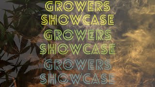 5 YouTube Cannabis Growers you should check out! (Growers Showcase #77)
