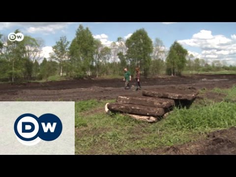 Video: Wie ist das Klima in der Waldzone Russlands?