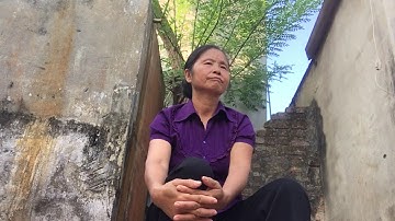 vlog cây Cà chua chuỗi ngọc 2