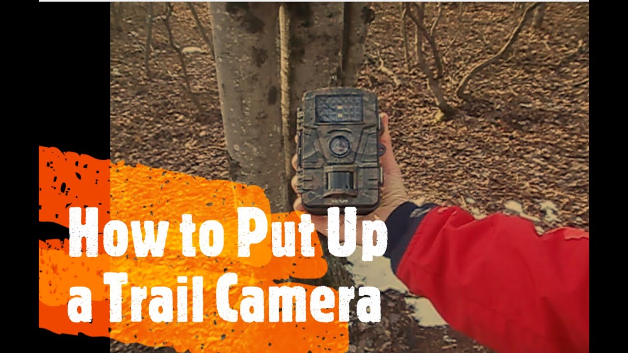 Tutorial on How Put Up a Trail Camera in a Few Easy Steps! (With Tips